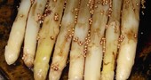 Espárragos Blancos con Vinagreta de Mostaza Espárragos Blancos con Vinagreta de Mostaza