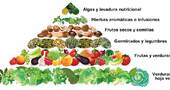 Dieta de alimentos crudos Dieta de alimentos crudos