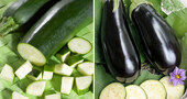 Diferencias nutricionales entre berenjena y calabacÃn ¿Cuál es más sano? Diferencias nutricionales entre berenjena y calabacÃn ¿Cuál es más sano?