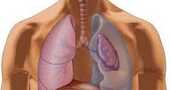 Fibrosis quÃstica y nutrición (II) Fibrosis quÃstica y nutrición (II)