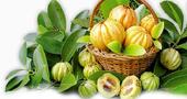 Garcinia para perder peso Garcinia para perder peso