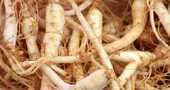 Ginseng para que sirve Ginseng para que sirve