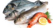 Grupos de alimentos infaltables en la dieta (pescados)