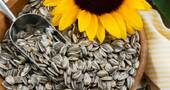 Las pipas de girasol beneficios Las pipas de girasol beneficios