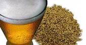 Los beneficios de la levadura de cerveza para tu salud y belleza Los beneficios de la levadura de cerveza para tu salud y belleza