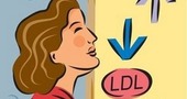 Colesterol bueno Hdl Colesterol bueno Hdl