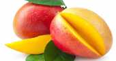 Mango, la fruta curadora Mango, la fruta curadora