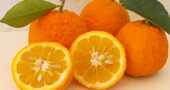 Naranja amarga asiática y Citrus aurantium: para combatir el sobrepeso