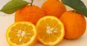 Naranja amarga asiática y Citrus aurantium: para combatir el sobrepeso Naranja amarga asiática y Citrus aurantium: para combatir el sobrepeso