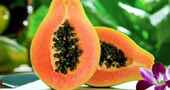 Papaya beneficios y propiedades
