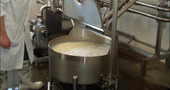 Pasteurización de la leche, mitos y verdades Pasteurización de la leche, mitos y verdades
