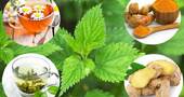 Plantas medicinales para la artrosis Plantas medicinales para la artrosis