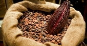 Propiedades y beneficios del cacao para la salud