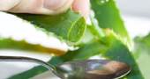 Receta con aloe vera para la gastritis Receta con aloe vera para la gastritis