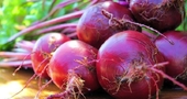 ¿Remolachas cocidas o jugo de remolachas? ¿Remolachas cocidas o jugo de remolachas?