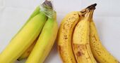 Secretos de los alimentos, que son claves sobre la nutrición Secretos de los alimentos, que son claves sobre la nutrición