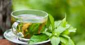 Té de toronjil propiedades Té de toronjil propiedades