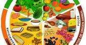 Tipos de alimentos: animal, vegetal y mineral Tipos de alimentos: animal, vegetal y mineral