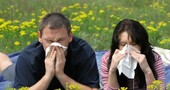 Alergias de primavera Alergias de primavera