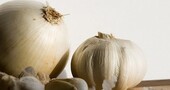 ¿De dónde consumir inulina? ¿De dónde consumir inulina?