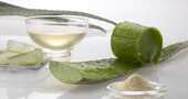 Aloe vera para el pelo graso Aloe vera para el pelo graso