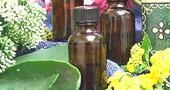 Aceite esencial de menta Aceite esencial de menta