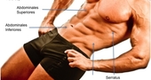 Músculos Abdominales Músculos Abdominales