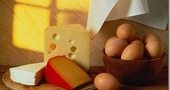 Alimentos que contienen Vitamina D Alimentos que contienen Vitamina D
