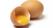 Beneficios de comer huevos Beneficios de comer huevos