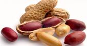 Beneficios del manà Beneficios del manÃ