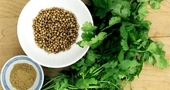 Beneficios del cilantro para la salud humana