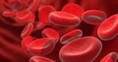 Anticoagulantes|¿Que son? Anticoagulantes|¿Que son?