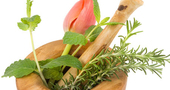 Cómo usar las plantas medicinales II Cómo usar las plantas medicinales II