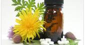 Plan nutricional bajo la corriente homeopática Plan nutricional bajo la corriente homeopática