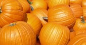 Alimentación recomendada para quienes tienen anemia Alimentación recomendada para quienes tienen anemia