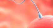 El estilo de vida puede repercutir en la calidad del semen El estilo de vida puede repercutir en la calidad del semen