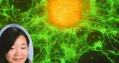 Una estudiante de 17 años abre una nueva puerta en la lucha contra el cáncer Una estudiante de 17 años abre una nueva puerta en la lucha contra el cáncer