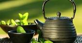9 razones para beber té verde todos los días 9 razones para beber té verde todos los días
