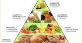 Tipos de dietas vegetarianas Tipos de dietas vegetarianas