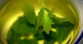 Los beneficios del té para prevenir el cáncer de ovario Los beneficios del té para prevenir el cáncer de ovario