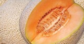 Los alimentos más saludables para la pancreatitis (Parte 1) Los alimentos más saludables para la pancreatitis (Parte 1)