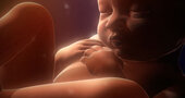 Diagnóstico prenatal para detectar anomalías fetales al inicio del embarazo Diagnóstico prenatal para detectar anomalías fetales al inicio del embarazo