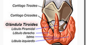 Problemas de tiroides Problemas de tiroides