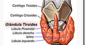 Problemas de tiroides