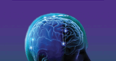 Epilepsia, llega el Purple Day, todos de morado Epilepsia, llega el Purple Day, todos de morado