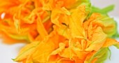 Cómo preparamos flores de calabaza Cómo preparamos flores de calabaza