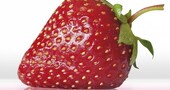 Alimentación para la memoria Alimentación para la memoria