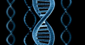 La genómica nutricional permitirá tratar los problemas de la piel con un menú adecuado a los genes La genómica nutricional permitirá tratar los problemas de la piel con un menú adecuado a los genes
