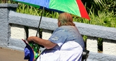 Grelina: ¿verdadera culpable de la obesidad? Grelina: ¿verdadera culpable de la obesidad?