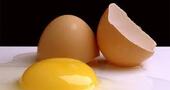 ¿Es bueno comer huevos? ¿Es bueno comer huevos?